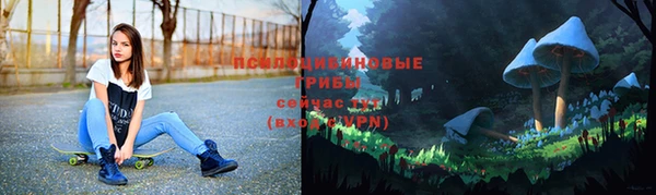 ГАЛЛЮЦИНОГЕННЫЕ ГРИБЫ Волоколамск