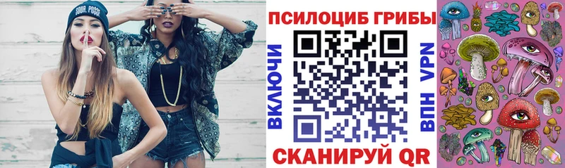 Галлюциногенные грибы Psilocybe  Надым 