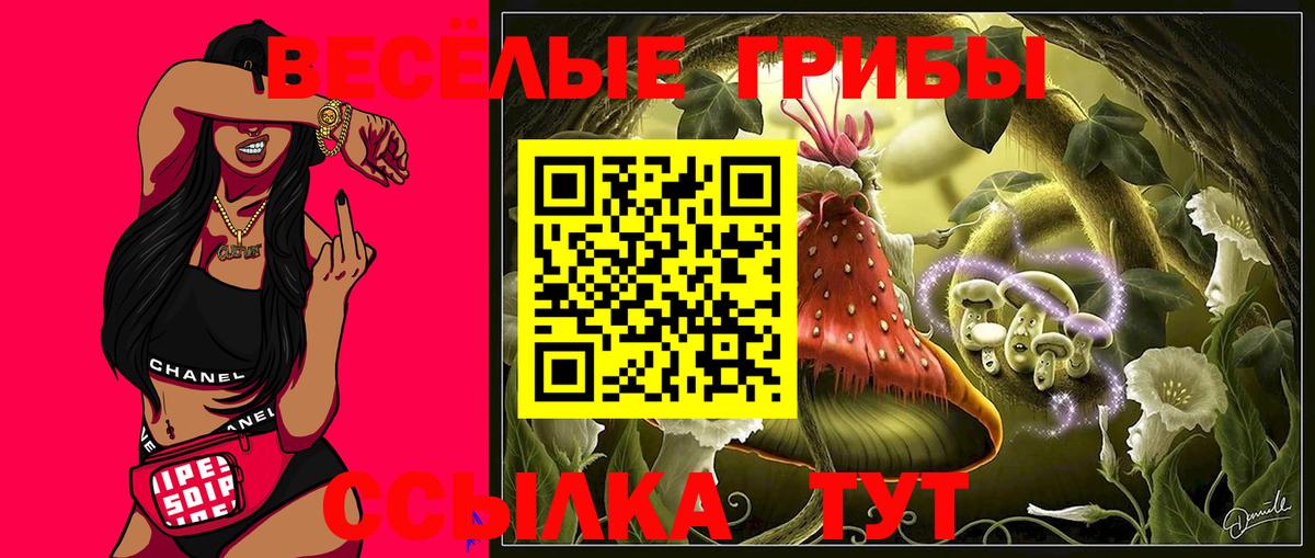Галлюциногенные грибы мухоморы Надым